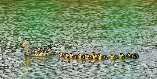 《海贼王：时光旅诗》现已推出 Steam首发特别好评